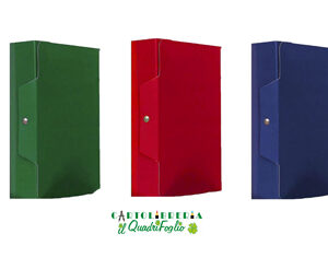 Portaprogetto con bottone dorso cm.6 Arca Cf.5