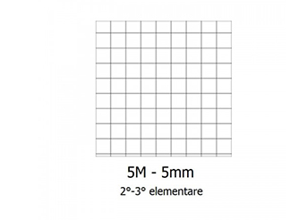 Quadernoni Quadretti 5mm per 2-3 elementare Chiara Ferragni Conf.10 Esempio Rigatura
