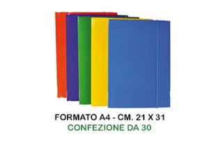 Carpette con elastico 3 lembi cm.21x31 Cf.30 Assortite