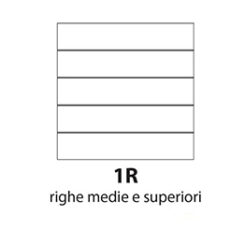 Quadernoni Righe 1R medie e superiori Fantasie Assortite Confezione pz.5 rigatura 1R Quadernoni Righe 1R medie e superiori Fantasie Assortite Confezione pz.5 rigatura 1R